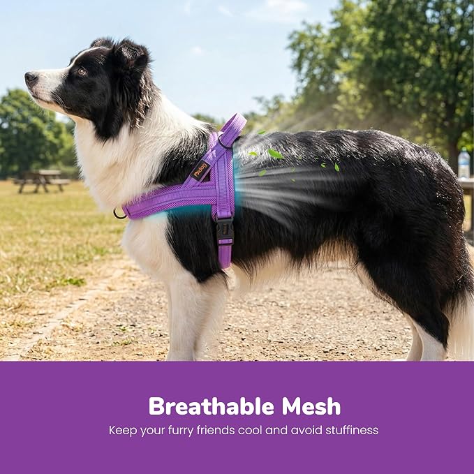 Didog No Pull Dog Harness with Breathable Mesh Padded,Reflective & Quick Fit Light Weight Dog Strap Vest Harness,Easy for Walking Training (M:Chest 21-26", Purple)