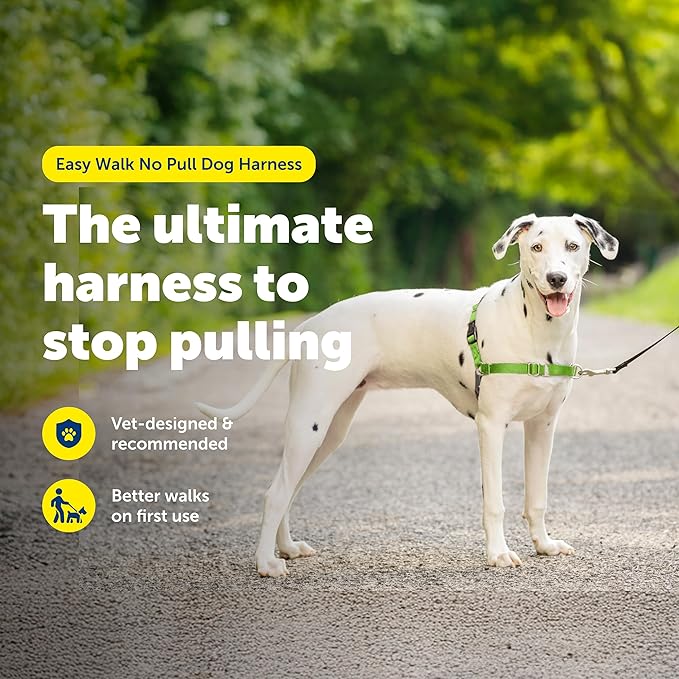 PetSafe Easy Walk No-Pull Dog Harness - Ultimate Harness to Help Stop Pulling - Pull-Free Walks - Take Control & Teach Better Leash Manners - Patented Martingale Loop Design - Green, Medium/Large