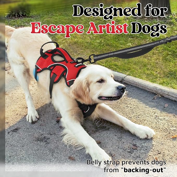 rabbitgoo Escape Proof Dog Harness, Soft Padded Full Body Pet Harness, Reflective Adjustable No Pull Vest with Lift Handle and Leash Clip for Large Dogs Walking Hiking Training, M, Red