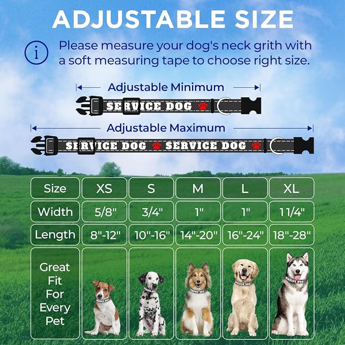 TECEUM Reflective Pet Collar – Black - Service Dog – XL – Extra Soft Padding – Basic Nylon Dog Collar – Quick Release Buckle – Fits Small, Medium and Large Dogs, Puppies, Cats
