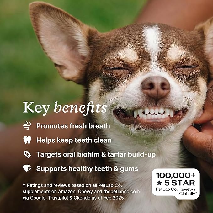 PetLab Co. ProBright Dental Powder - Dog Breath Freshener - Teeth Cleaning Made Easy – Targets Tartar & Bad Breath - Formulated for Extra Small Dogs - Packaging May Vary