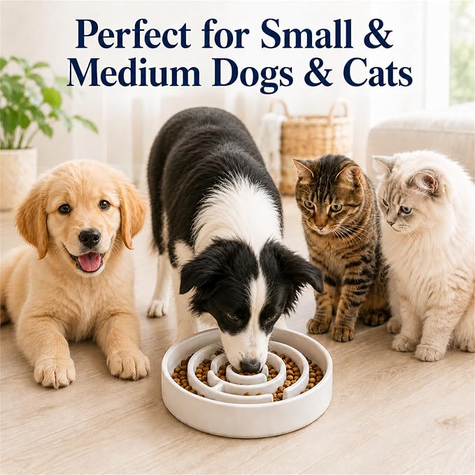 Ceramic Slow Feeder Dog Bowls with Anti-Slip, Slow Feeder & Non-Slip Design, Boredom and Anxiety Reducer, Suitable for All Breed Dogs and Cat (Ceramic-White)