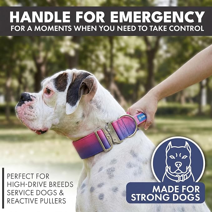 Spark Paws Tactical Dog Collar with Handle - Premium Quality Collar, Robust and Durable Design for Large, Strong Breeds - Pitbulls, Labradors, GSD - Snow Cone - L -1.5"