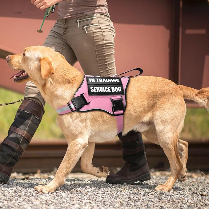 Service Dog Vest Harness and Leash Set+10 Patches,No Pull&Easy Walk Reflective Dog Harness with Soft Padded Handle for Training/Everyday,Fit Small/Medium/Large/Extra-Large Dogs (Pink L)