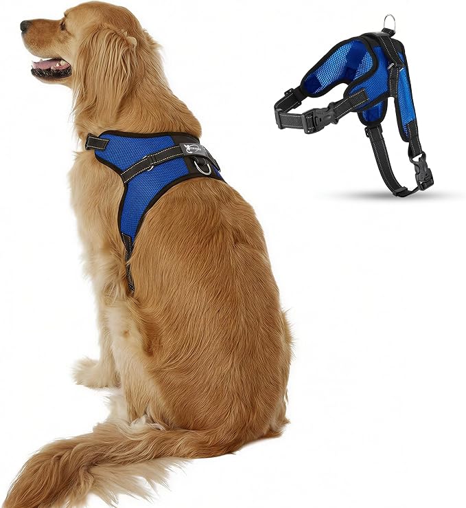 No Pull Reflective Adjustable Dog Harness with Handle- Comfortable Soft All Weather Mesh, Easy On Puppy Harness for Small Medium and Large Dogs (Blue) Large