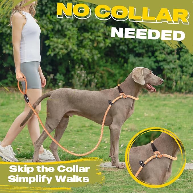 Fida Durable Slip Lead Dog Leash, 6 FT x 3/8" Heavy Duty Comfortable Strong Rope Slip Lead for Small Dogs and Puppies, No Pull Pet Training Leash with Highly Reflective (3/8", Orange)
