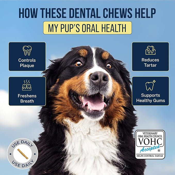 Tartar Shield® Soft Rawhide Dental Chews for Extra Large Dogs | VOHC Accepted | Reduces Tartar, Controls Plaque & Freshens Breath | Vet Recommended | Bacon Flavor | USA Made | 12 Count