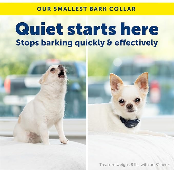 PetSafe NanoBark 2.0 Bark Collar for Small Dogs Lightweight, Adjustable 4-15" Neck Smart Bark Detection Auto-Adjusting Static Correction Waterproof & Rechargeable Up to 7 Days Battery