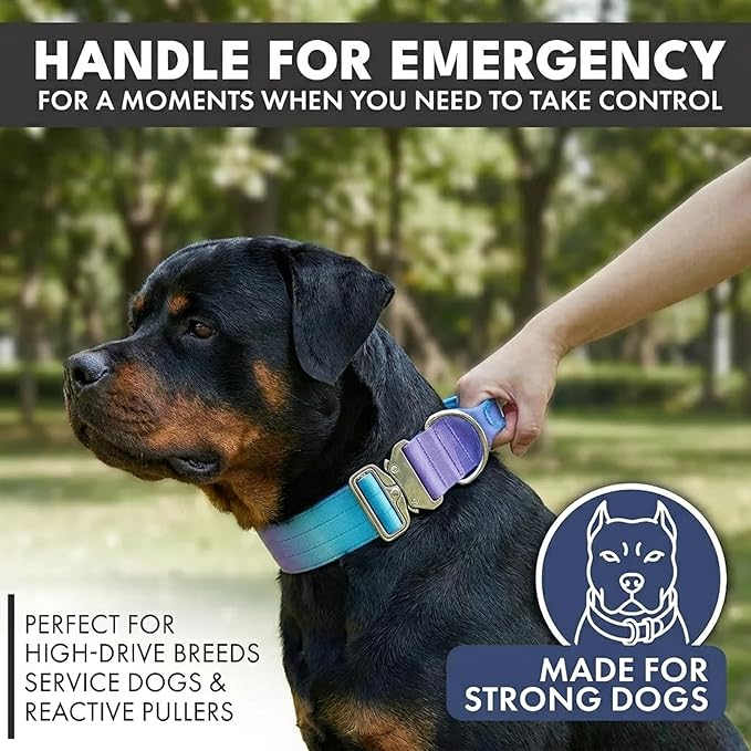 Spark Paws Tactical Dog Collar - Heavy Duty, Premium Quality, Thick and Durable for Large and Medium Dogs - 90s Retro - S - 1.5"