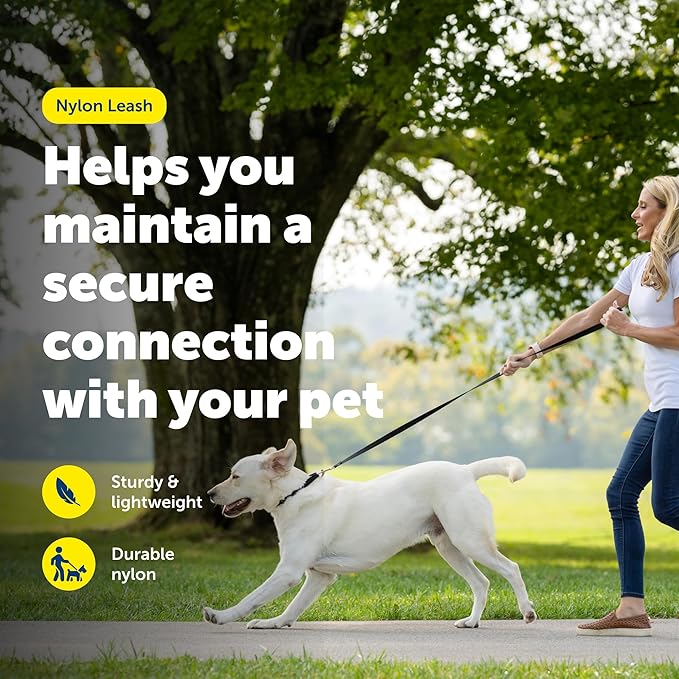 PetSafe Nylon Dog Leash - Strong, Durable, Traditional Style Leash with Easy to Use Bolt Snap - 1 in. x 6 ft., Royal Blue