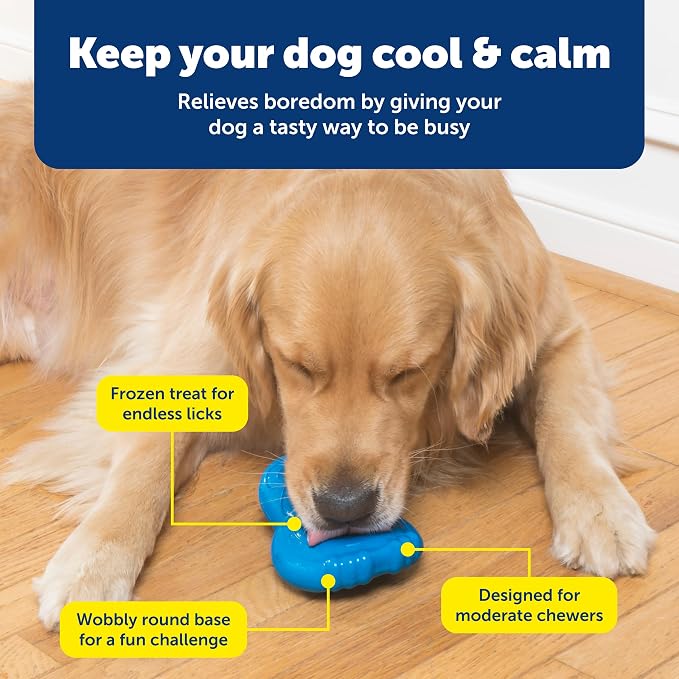 PetSafe Chilly Penguin - Freezable Dog Toy for Medium and Large Dogs - Fill and Freeze - Frozen Dog Toy to Fill with Treats - Interactive Pet Puzzle for Boredom or Separation Anxiety, ML