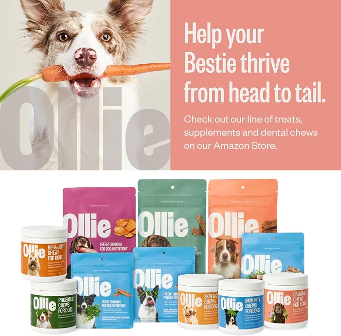 Ollie Dental Chews for Medium Dogs, 12 Oz, Fresh Breath, Teeth Cleaning Treats, Sticks for Dog Oral Care, with Parsley and Cinnimon, for Pups 26-50 lbs