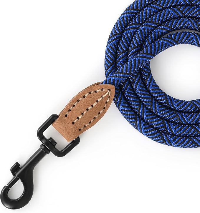 Mile High Life Small Dog Leash, Thin Rope Leash with Genuine Leather Connection and Heavy Duty Metal Clasp, Great for Small Medium Dogs(Blue,72 Inch-1/3)