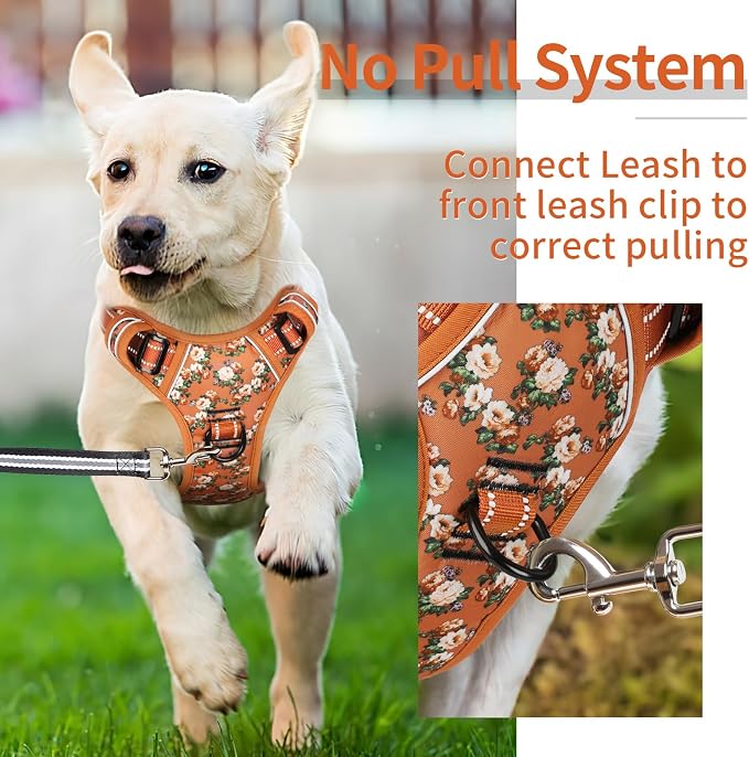 HEELE Dog Harness, No Pull Adjustable Padded Reflective Harness for Small Medium Large Dogs with Handle for Walking Training, Flower-Orange,XL