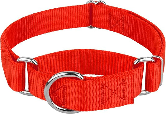 Country Brook Petz - Martingale Dog Collar - Heavy-Duty Training Collar with No Buckle - Service Dog Collar for All Pups - 20 Vibrant Colors (Hot Orange, 3/8 Inch, 3XS)