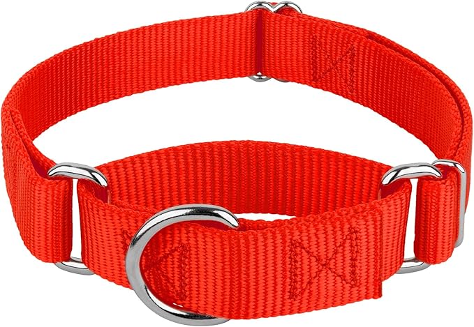 Country Brook Petz - Martingale Dog Collar - Heavy-Duty Training Collar with No Buckle - Service Dog Collar for All Pups - 20 Vibrant Colors (Hot Orange, 1 Inch, Large)