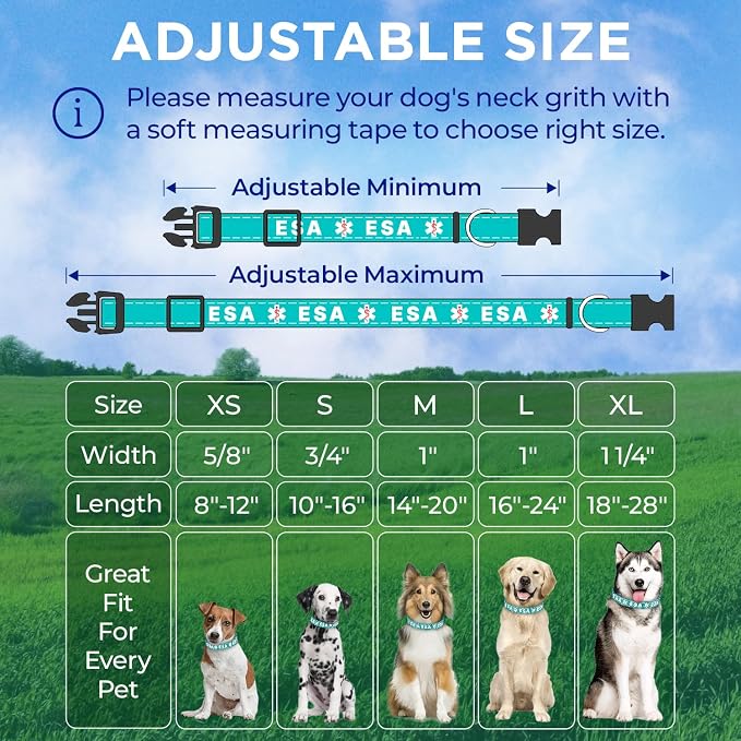TECEUM Reflective Pet Collar – Teal - ESA – S – Extra Soft Padding – Basic Nylon Dog Collar – Quick Release Buckle – Fits Small, Medium and Large Dogs, Puppies, Cats – ESA & Service Dog Options