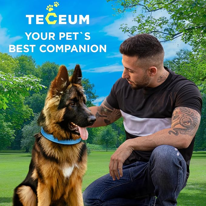 TECEUM Reflective Dog Collar – Sky Blue – S – Extra Soft Padding – Basic Nylon Pet Collar – Quick Release Buckle – Fits Small, Medium and Large Dogs, Puppies, Cats – ESA & Service Dog Options