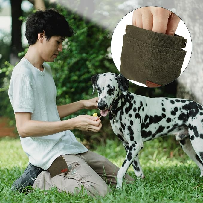 1 Pcs Pocket Pet Training Pouch,Dog Treat Pouch for Portable Pet Dog Walking Bag for Travel or Outdoor Use (Olive drab)