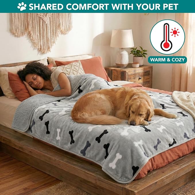 PETAMI Sherpa Fleece Waterproof CAT and Dog Blanket, Bone Gray, Queen