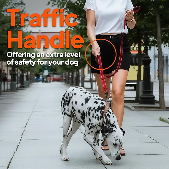 TwoEar 4FT 1IN Strong Black Dog Leash with 2 Padded Handles, Traffic Handle Extra Control, Comfortable Soft Dual Handle, Auto Lock Hook, Reflective Walking Lead for Small Medium and Large Dogs