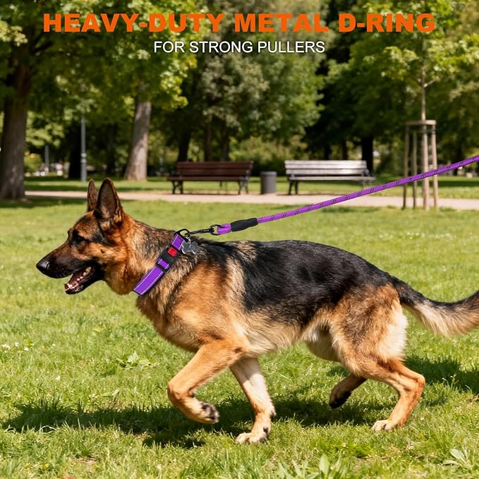 Taglory Reflective Dog Collar for Extra Large Dogs, Soft Neoprene Padded with Escape-Proof Locking Buckle, Upgraded Zinc Alloy Ring, Adjustable for Daily Walking, Purple,XL