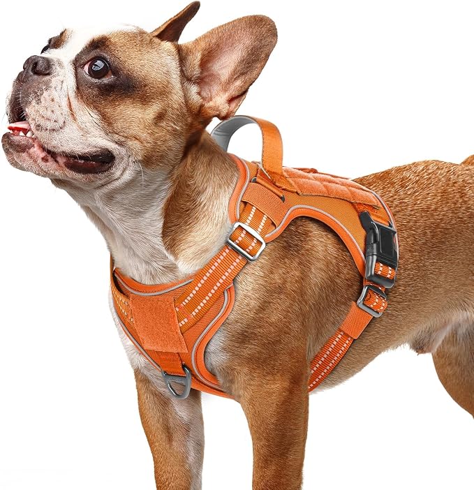 rabbitgoo Tactical Dog Harness for Small Dogs No Pull Adjustable Military Vest with Handle MOLLE Reflective Heavy Duty Dog Vest for Walking Training Hunting Outdoor Working Medium Size Dog Orange S