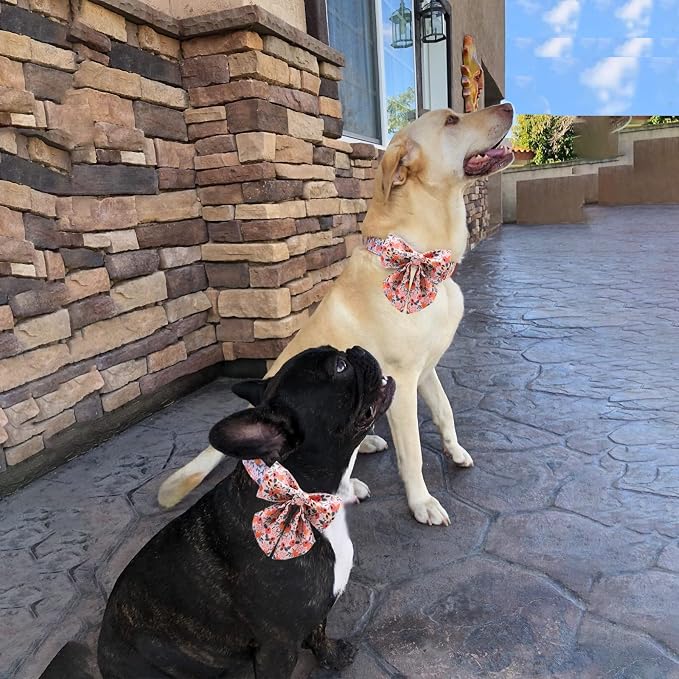 Unique style paws Dog Collar with Tie Adjustable Pink Bowtie Puppy Collars for Small Medium Large Dogs and Cats-L