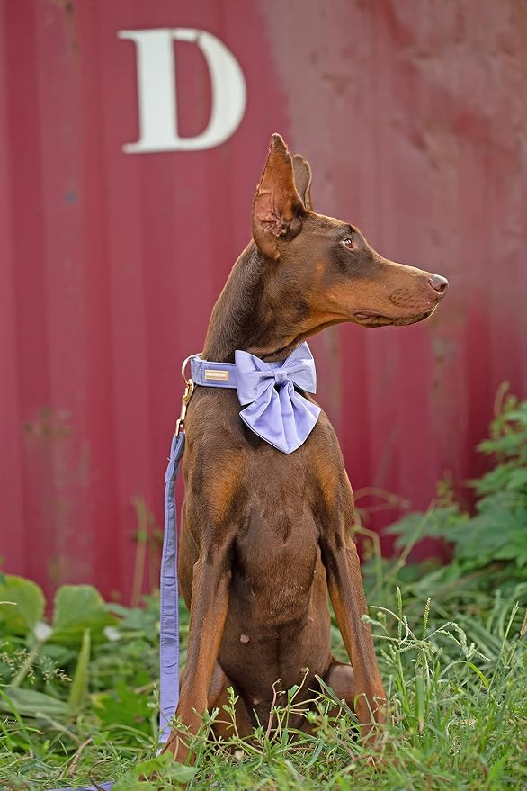 Unique style paws Purple Silk Dog Collar Adjustable Durable Dog Collar with Bow Fashion Bowtie Collar for Medium Dogs