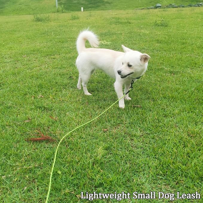 WYuZe Reflective X-Small Dog Leash 6/10/15 FT, Thin 1/5" Lightweight Rope Leash for Puppy Training, Walking Lead for Cats Chihuahua Maltese Small Pets Up to 15lb (6ft, Green)