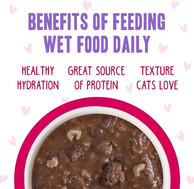Weruva B.F.F. OMG - Best Feline Friend Oh My Gravy!, Tuna & Duck Dilly Dally with Tuna & Duck, 2.8oz Can (Pack of 12)