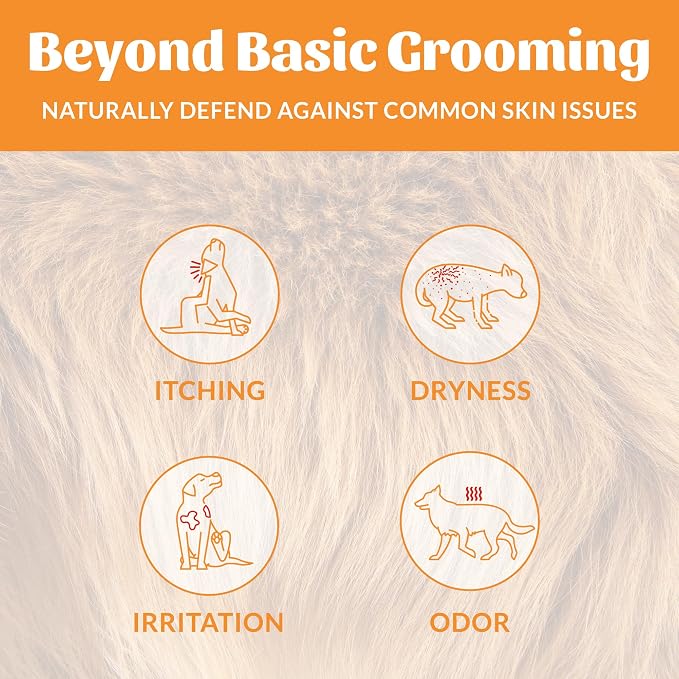 Skout's Honor Probiotic Dog Shampoo & Conditioner with Avocado Oil & Omega-3s, 97% Natural, Paraben & Sulfate-Free, Cruelty-Free, 16oz, Honeysuckle 2-Pack
