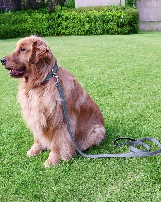 FunTags 6FT Grey Reflective Dog Leash for Large & Medium Dogs Walking, Soft Padded Handle Comfortable Grip, Heavy Duty Nylon, Reflective for Night Walking, 1in Wide