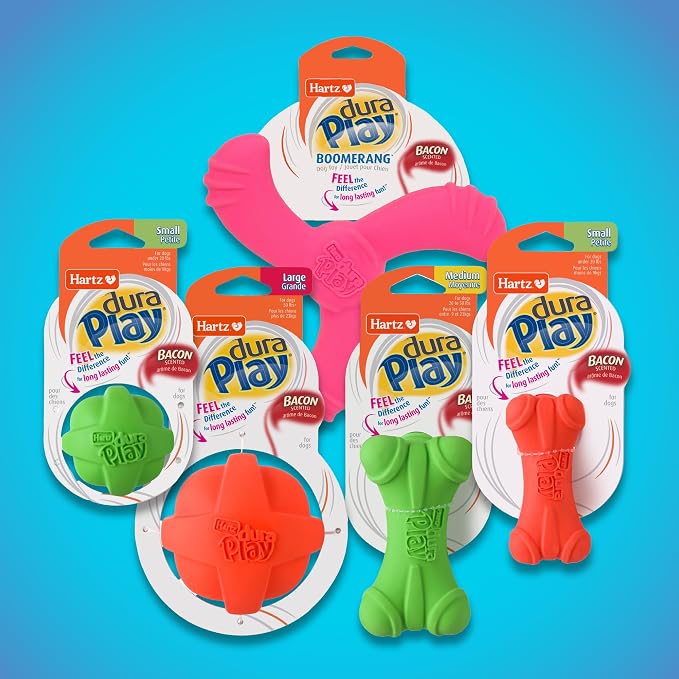 Hartz DuraPlay Bacon Scented Dog Toys, Large 1 Count, Colors May Vary (Pack of 2)