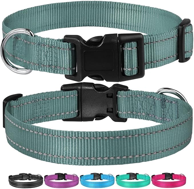 Reflective Dog Collar with Buckle Adjustable Safety Nylon Collars for Small Medium Large Dogs, Grey S