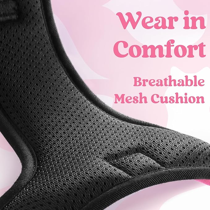 rabbitgoo Dog Harness Small Sized, No Pull Easy On & Off with 3 Buckles Pet Harness, Adjustable Soft Walking Vest with 2 Clips and Handle, Reflective for Small Dogs, Rose Pink, S