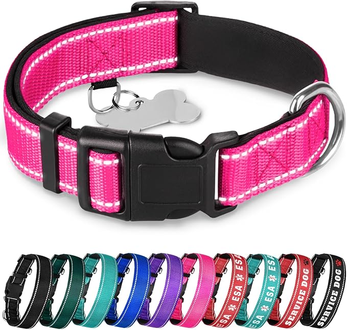 TECEUM Reflective Dog Collar – Hot Pink – XXS – Extra Soft Padding – Basic Nylon Pet Collar – Quick Release Buckle – Fits Small, Medium and Large Dogs, Puppies, Cats – ESA & Service Dog Options