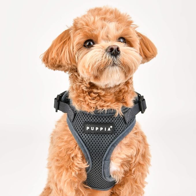 Authentic Puppia RiteFit Harness with Adjustable Neck, Sky Blue, Small