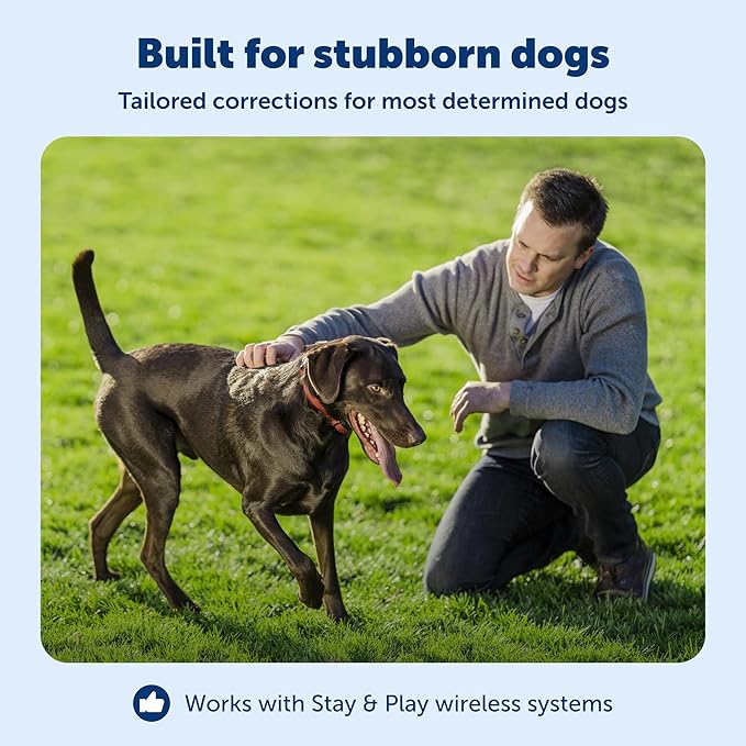 PetSafe Stubborn Dog Stay & Play Wireless Pet Fence Receiver Collar, Waterproof, Rechargeable, Tone and Static Correction, PIF00-13672, One Size, from the Parent Company of the Invisible Fence Brand