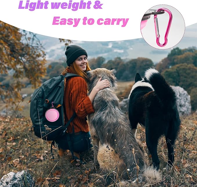 Dog Bowl Pet Collapsible Bowls, 2 Pack Collapsible Dog Water Bowls for Cats Dogs, Portable Pet Feeding Watering Dish for Walking Parking Traveling with 2 Carabiners (Small, Black & Pink)