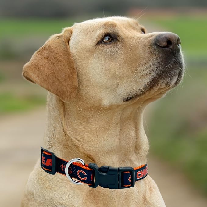 Pets First NFL Chicago Bears Pet Collar, Medium, CHI-3036-MD