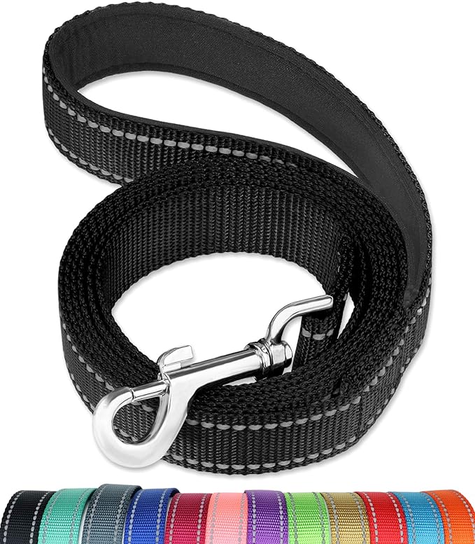 FunTags 4FT Black Reflective Dog Leash for Large & Medium Dogs Training, Soft Padded Handle Comfortable Grip, Heavy Duty Nylon, Reflective for Night Walking, 1in Wide