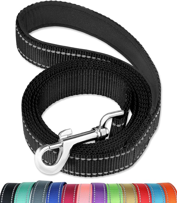 FunTags 6FT Black Reflective Dog Leash for Medium & Small Dogs Walking, Soft Padded Handle Comfortable Grip, Heavy Duty Nylon, Reflective for Night Walking, 3/4in Wide
