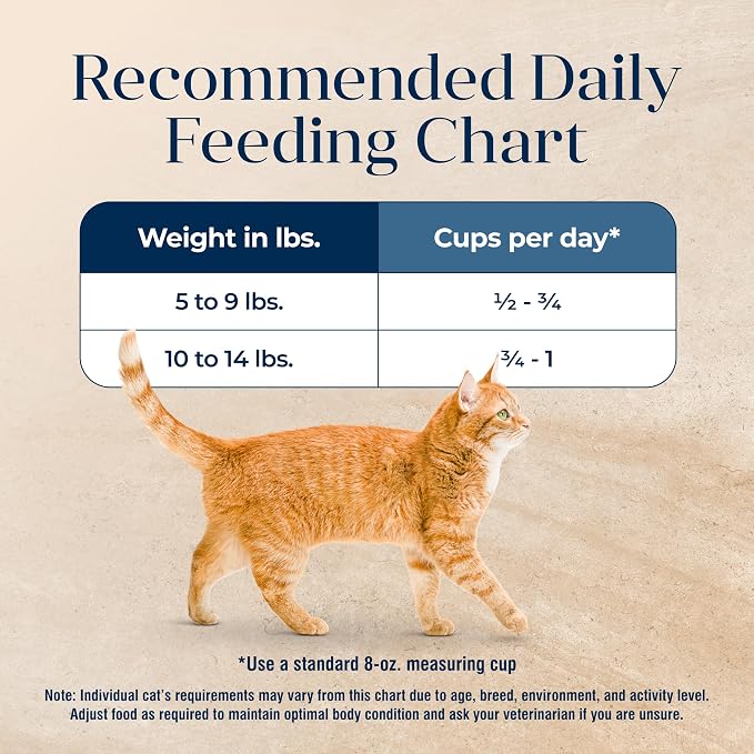 Blue Buffalo Basics Grain-Free Dry Cat Food, Skin & Stomach Care, Limited Ingredient Diet for Indoor Cats, Whitefish & Potato Recipe, 5-lb. Bag