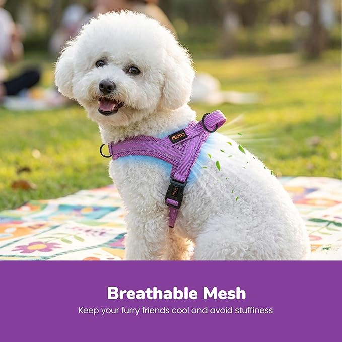 Didog No Pull Dog Harness with Breathable Mesh Padded,Reflective & Quick Fit Light Weight Dog Strap Vest Harness,Easy for Walking Training (XS:Chest 15-18", Purple)