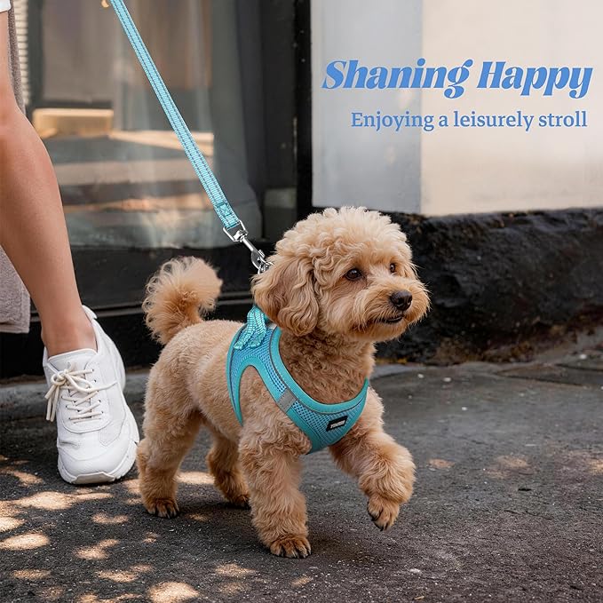 YIMEIS Dog Harness and Leash Set, No Pull Soft Mesh Pet Harness, Reflective Adjustable Puppy Vest for Small Medium Large Dogs, Cats (Sky Blue, Small (Pack of 1)