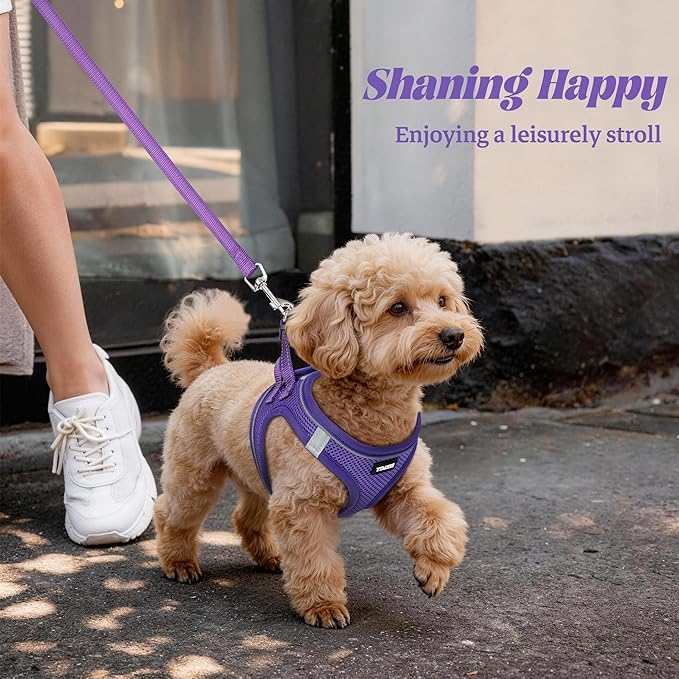 YIMEIS Dog Harness and Leash Set, No Pull Soft Mesh Pet Harness, Reflective Adjustable Puppy Vest for Small Medium Large Dogs, Cats (Purple, Medium (Pack of 1)