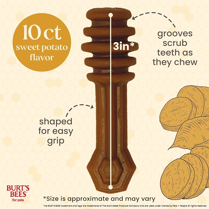 BURT'S BEES FOR PETS Dental Treats for Dogs with Manuka Honey & Ginger, 98% Natural Origin, Holistic Oral Care, Freshens Breath, Sweet Potato Flavor, Small Size, 10 ct, 6.8 Oz