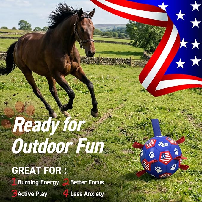QDAN Dog Toys, Soccer Ball with Straps, Durable Dogs Balls for Extra Large Breeds, Beach Pool Water Toy, Dog Birthday Gifts, Herding Balls (9 Inch)