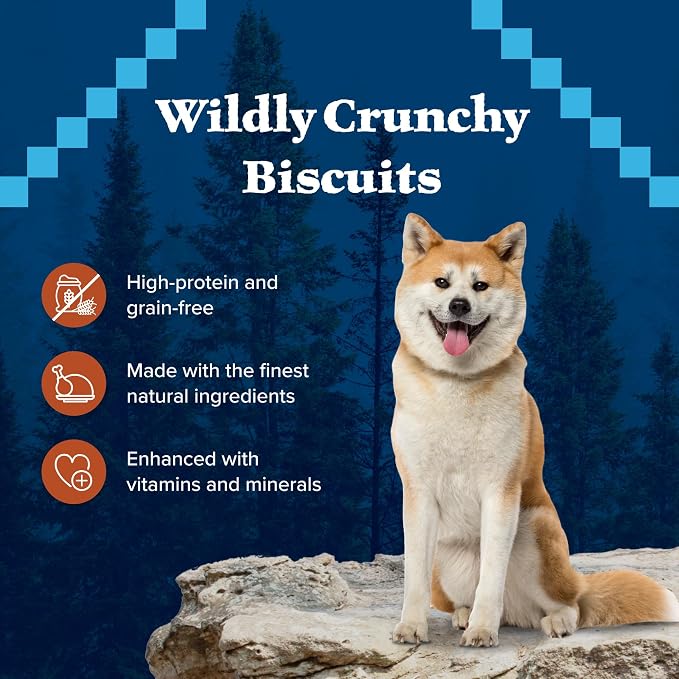 Blue Buffalo Wilderness Trail Treats Turkey Crunchy Dog Biscuits, Grain-Free & High-Protein, Bite-Sized Training Treats Made with Real Turkey & Natural Ingredients, 36-oz Bag